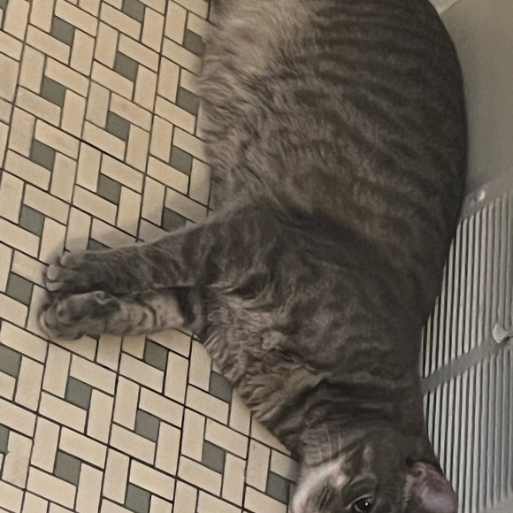 VTG Rising Tide Boiled Felted Wool Purse/Handbag Hand Made In Nepal Boho Flowers - Picture 9 of 11